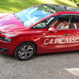 Sommer-og-hC3B8st-2013-098