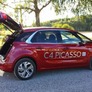 Sommer-og-hC3B8st-2013-108