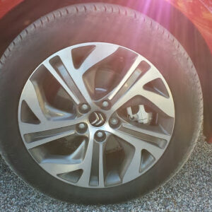 Sommer-og-hC3B8st-2013-113