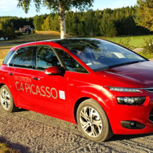 Sommer-og-hC3B8st-2013-125