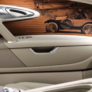 bugatti-vitesse-legend-black-bess-14
