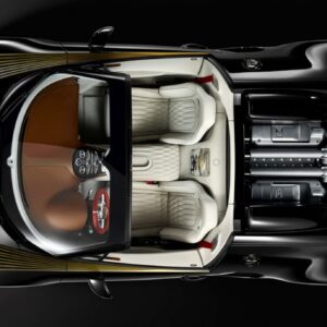 bugatti-vitesse-legend-black-bess-2
