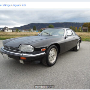 jaguar
