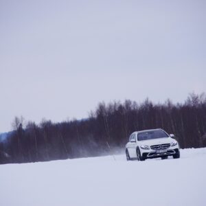 web_017