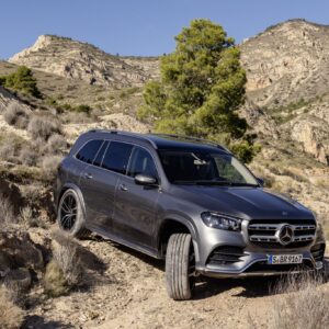 Mercedes-Benz GLS, 2019
