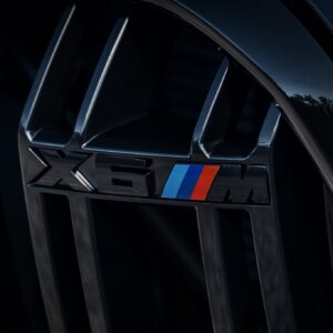 BMW X6M