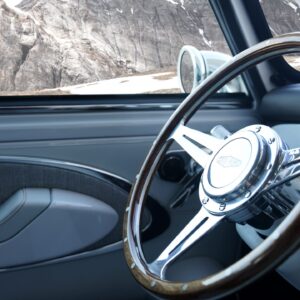 Steering Wheel – Alpine