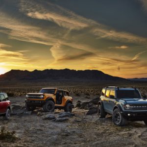 Bronco Family