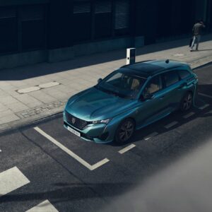 308sw_009