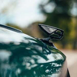 217294257_421049942362875_7290084873025962194_n