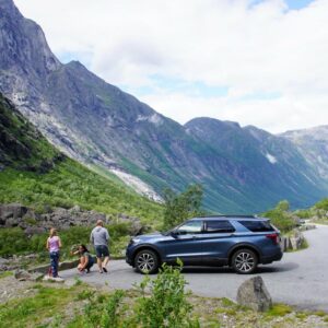 230416432_134773332137376_4906513028391913016_n