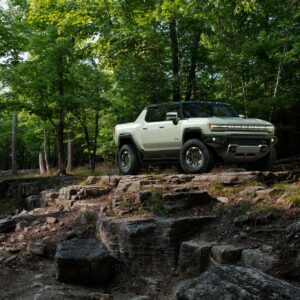 Hummer_0015
