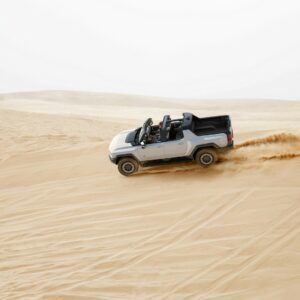 Hummer_0016
