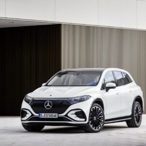 Mercedes-EQ. EQS SUV, X296, 2022
