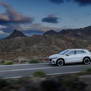 Mercedes-EQ. EQS SUV, X296, 2022