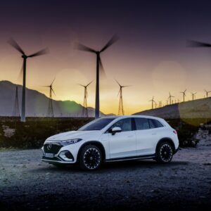 Mercedes-EQ. EQS SUV, X296, 2022